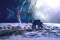 Elephant walks through the dry desert at night Royalty Free Stock Photo