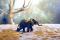 Elephant walks through the dry desert at night Royalty Free Stock Photo