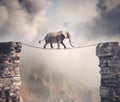 Elephant walks on rope above a gap between two mountain peaks