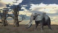 Elephant walks through the savanna