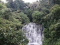 Elephant Water fall