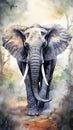 Elephant, watercolor illustration, colourful animal