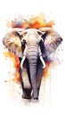 Elephant, watercolor illustration, colourful animal