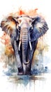 Elephant, watercolor illustration, colourful animal