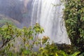 Elephant waterfall