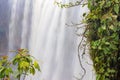 Elephant waterfall