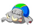 Elephant wearing helmet of Racer