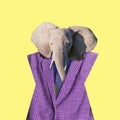 Elephant wearing purple retro jacket over yellow background. Vintage style. Contemporary art collage.