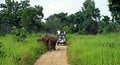 Elephant welcomes tourists