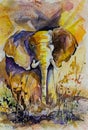 Elephant yellow watercolor