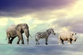 Elephant, zebra, rhino walking on a rope