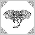 Elephant zentangle arts isolated on white background Royalty Free Stock Photo