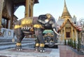 Elephante statue in wat samien nari temple bangkok thailand