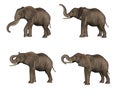 Elephants Royalty Free Stock Photo