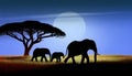 Elephants and acacia tree silhouetted against stunning savannah sunset Royalty Free Stock Photo