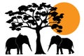 Elephants silhouettes in Africa, vector
