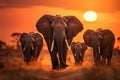 Elephants in Amboseli National Park, Kenya, Africa, a herd of elephants walking across a dry grass field at sunset with the sun in Royalty Free Stock Photo