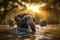 Elephants bathing in the river in Chiang Mai, Thailand, Elephants bathe in the river in Chiang Mai, Thailand, capturing a serene