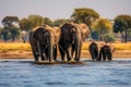 Elephants in Chobe National Park, Botswana, Africa, Elephants in Chobe National Park, Botswana, Africa, AI Generated
