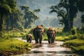 Elephants in Chobe National Park, Botswana, Africa, Eco travel in the jungle with wild animals elephants, AI Generated