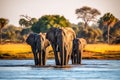 Elephants in Chobe National Park, Botswana, Africa, Elephants bathe in the river, Chiang Mai, Thailand, AI Generated Royalty Free Stock Photo