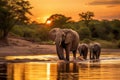 Elephants in Chobe National Park, Botswana, Africa, elephants crossing Olifant river,evening shot,Kruger national park, AI