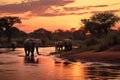 Elephants in the Chobe National Park, Botswana, Africa, elephants crossing Olifant river,evening shot,Kruger national park, AI