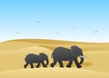 Elephants.