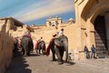 Elephants crossing narrow mountain path in front of the amber fort in jaipur with people roaming around enjoying the architecture