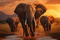 Elephants crossing Olifant River, evening shot, Amboseli National Park, Kenya