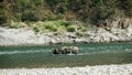 Elephants crossing the River Manas