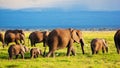 Elephants family on savanna. Safari in Amboseli, Kenya, Africa