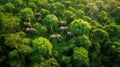 Elephants in forest - Aerial shot