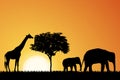 Elephants and giraffe in Africa Royalty Free Stock Photo