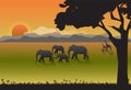 Elephants and Giraffe family in meadow. Nature background