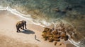 Elephants And A Human On The Ocean: Vray Style Australian Landscapes And Aerial Photography