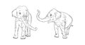 Elephants Isolated On White Background. Realistic Elephant Family. Vector Illustration