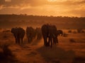 Elephants\' Journey: A Family Trek across the African Plains Royalty Free Stock Photo