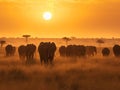 Elephants\' Journey: A Family Trek across the African Plains Royalty Free Stock Photo