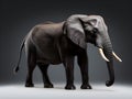 Elephants are the largest wild animals and are herbivorous. Generative AI
