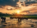 Elephants   Made With Generative AI illustration Royalty Free Stock Photo
