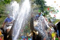 Elephants play water battle during Songkran Royalty Free Stock Photo