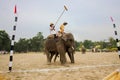 Elephants and players, during polo game, Thakurdwara, Bardia, Nepal Royalty Free Stock Photo