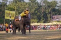 Elephants and players, during polo game, Thakurdwara, Bardia, Nepal