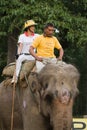 Elephants and players, during polo game, Thakurdwara, Bardia, Nepal