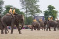 Elephants and players, during polo game, Thakurdwara, Bardia, Nepal Royalty Free Stock Photo