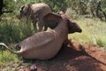 Elephants playing with each other surrounded by grass and trees Royalty Free Stock Photo