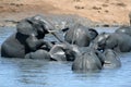 Elephants playing in water Royalty Free Stock Photo