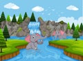 Elephants playing in water