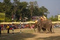 Elephants polo game, at Thakurdwara, Bardia, Nepal